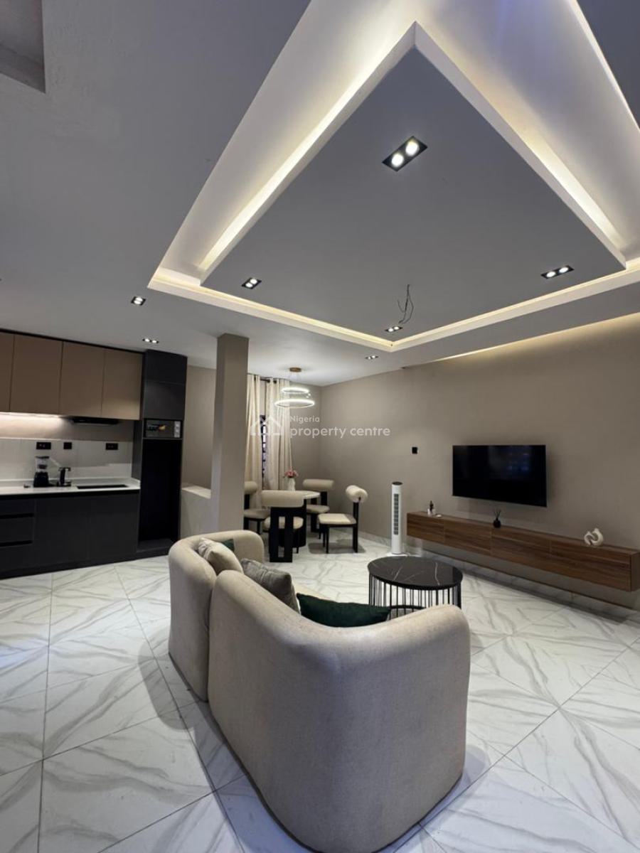 Fully Finished 1 Bedroom Apartment in a Serene Neighborhood, Fully Finished Apartment for Shortlet Income, Make Up to N14m Yearly, Surulere, Lagos, Flat / Apartment for Sale