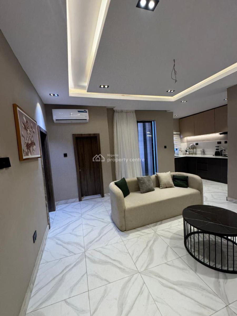 Fully Finished 1 Bedroom Apartment in a Serene Neighborhood, Fully Finished Apartment for Shortlet Income, Make Up to N14m Yearly, Surulere, Lagos, Flat / Apartment for Sale