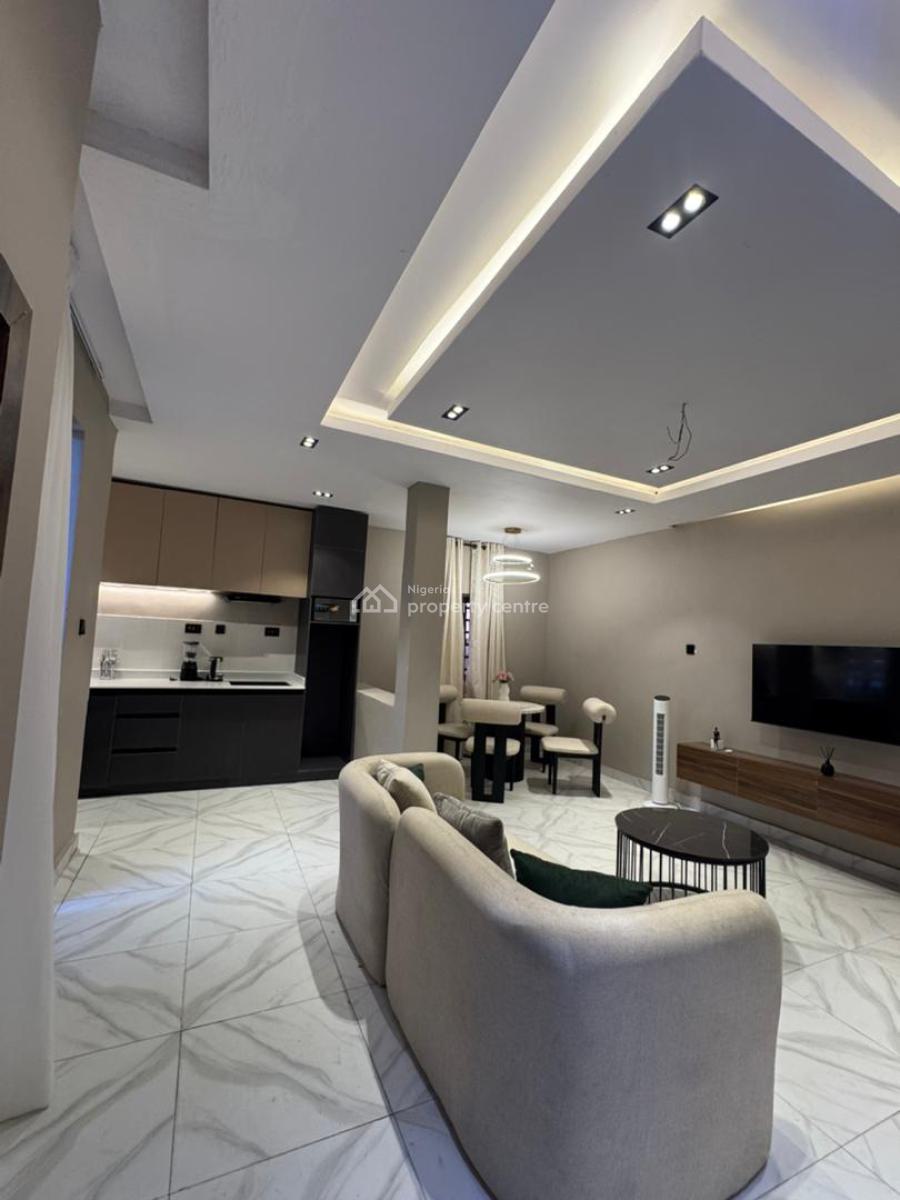 Fully Finished 1 Bedroom Apartment in a Serene Neighborhood, Fully Finished Apartment for Shortlet Income, Make Up to N14m Yearly, Surulere, Lagos, Flat / Apartment for Sale