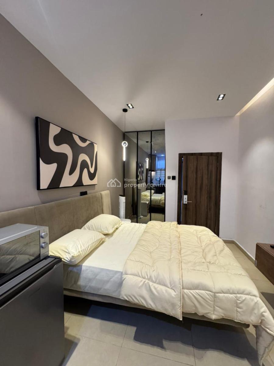 Fully Finished 1 Bedroom Apartment in a Serene Neighborhood, Fully Finished Apartment for Shortlet Income, Make Up to N14m Yearly, Surulere, Lagos, Flat / Apartment for Sale