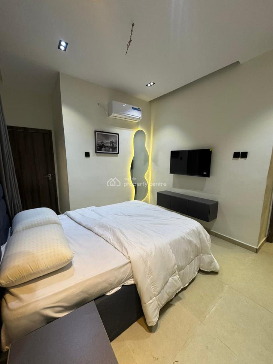 Fully Finished 1 Bedroom Apartment in a Serene Neighborhood, Fully Finished Apartment for Shortlet Income, Make Up to N14m Yearly, Surulere, Lagos, Flat / Apartment for Sale