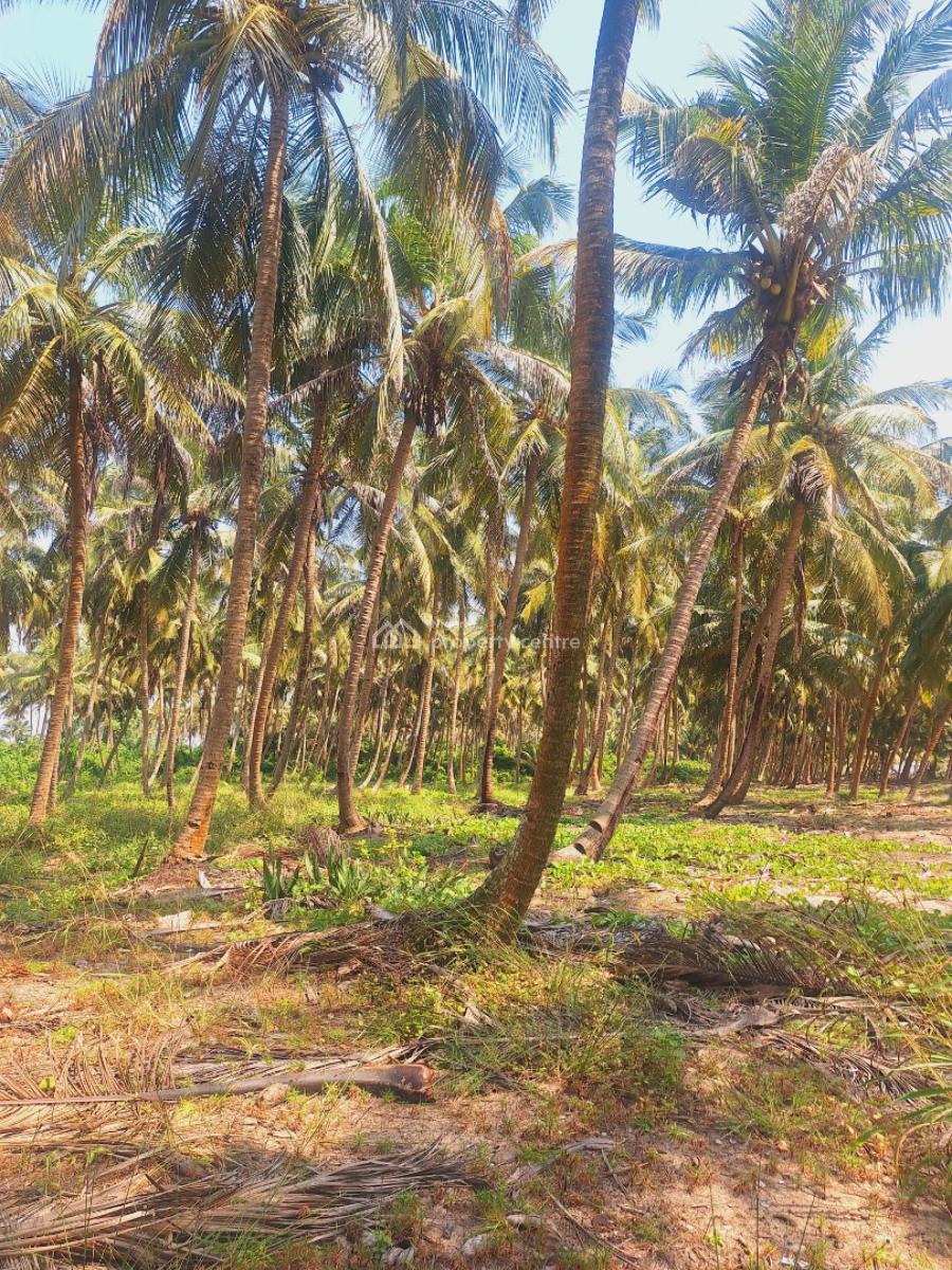 Affordable Beachfront Land, Odimi Water Side, Ado-odo/ota, Ogun, Residential Land for Sale