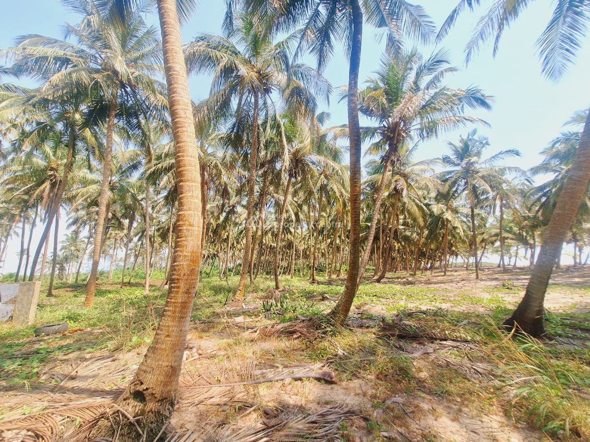 Affordable Beachfront Land, Odimi Water Side, Ado-odo/ota, Ogun, Residential Land for Sale