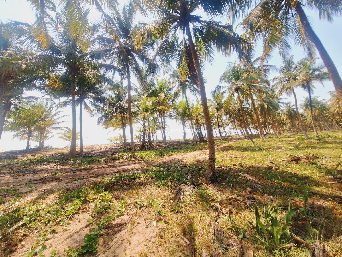 Affordable Beachfront Land, Odimi Water Side, Ado-odo/ota, Ogun, Residential Land for Sale