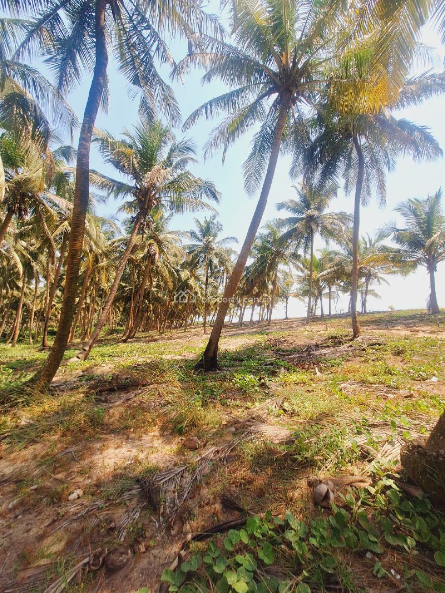 Affordable Beachfront Land, Odimi Water Side, Ado-odo/ota, Ogun, Residential Land for Sale