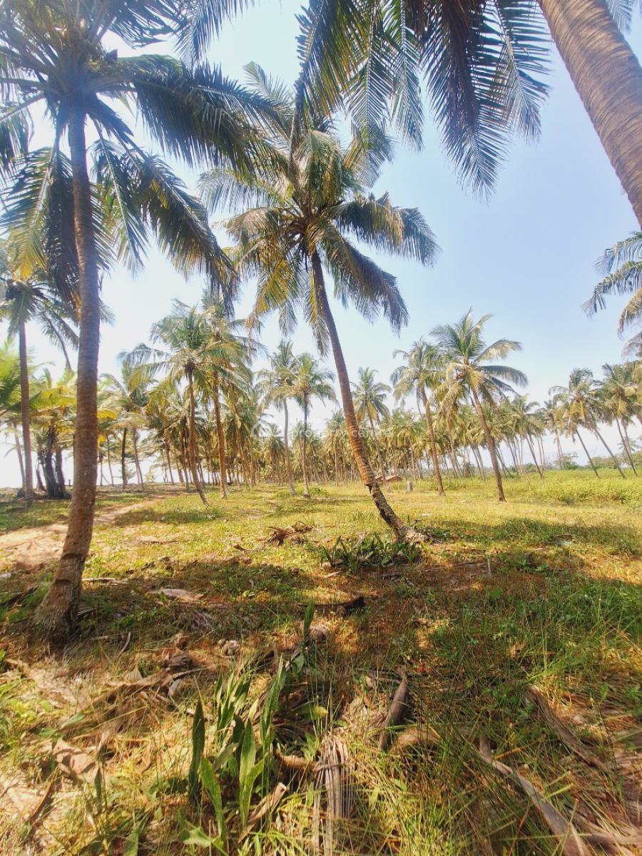 Affordable Beachfront Land, Odimi Water Side, Ado-odo/ota, Ogun, Residential Land for Sale