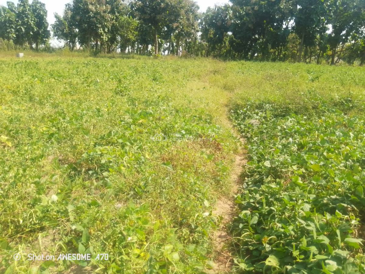 1 Hectare Plot of Land, Chorin Bisa, Karshi, Abuja, Mixed-use Land for Sale