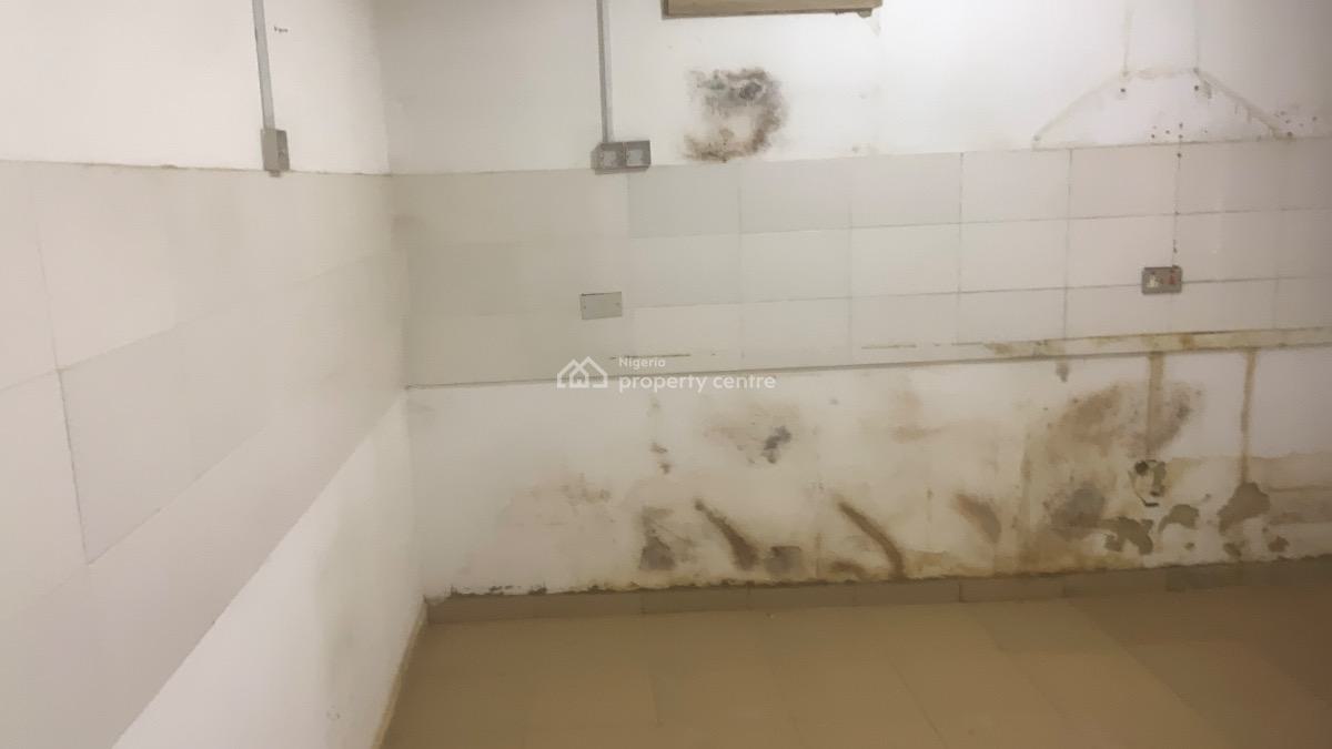 Exclusive 4 Bedroom Apartment with Bq, Wuye Dakibiyu After Kia Academy, Wuye, Abuja, Flat / Apartment for Rent