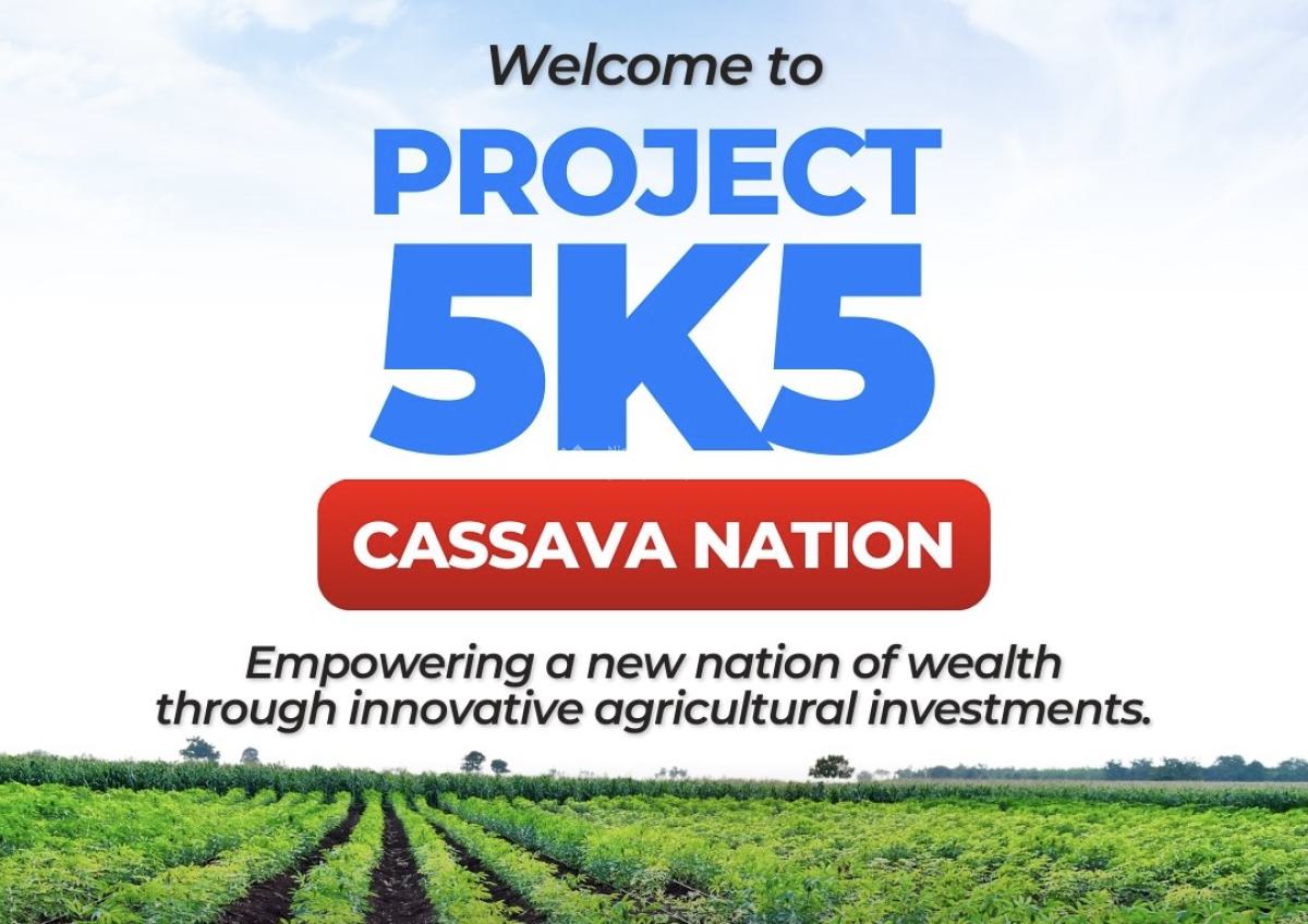 Buy Land with Cassava Plantation on It and Earn Yearly, Owode, Obafemi Owode, Ogun, Mixed-use Land for Sale