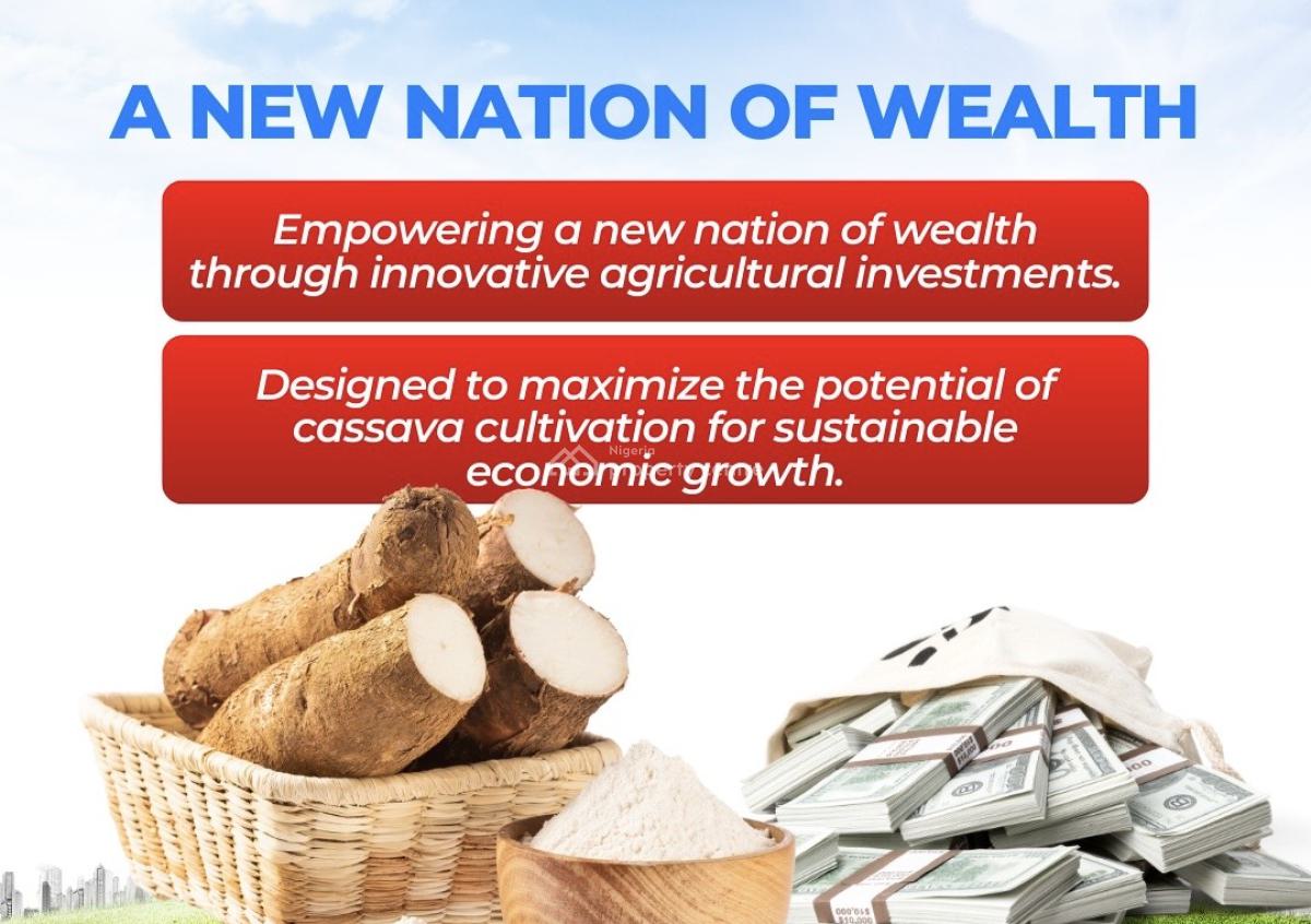 Buy Land with Cassava Plantation on It and Earn Yearly, Owode, Obafemi Owode, Ogun, Mixed-use Land for Sale