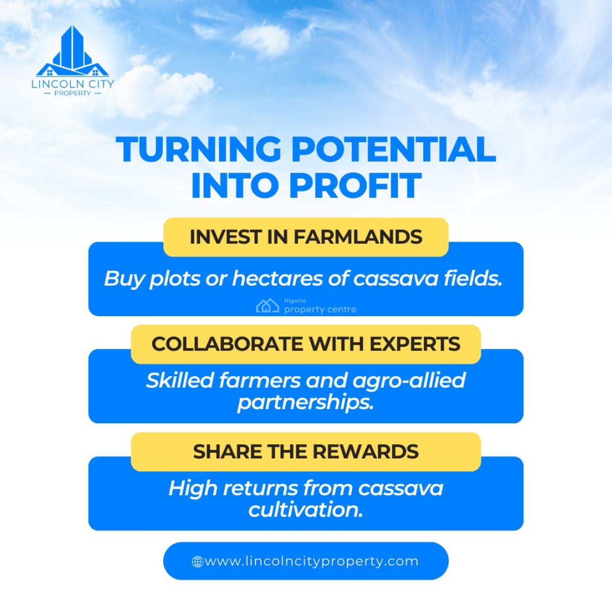 Buy Land with Cassava Plantation on It and Earn Yearly, Owode, Obafemi Owode, Ogun, Mixed-use Land for Sale