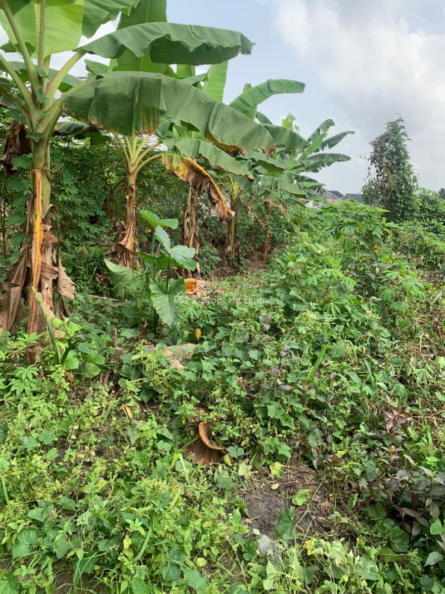 a Parcel of Dry Land, Redeem Road Off New Ring Road, Uyo, Akwa Ibom, Mixed-use Land for Sale