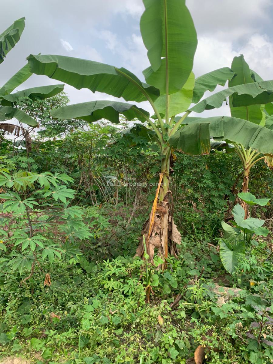 a Parcel of Dry Land, Redeem Road Off New Ring Road, Uyo, Akwa Ibom, Mixed-use Land for Sale