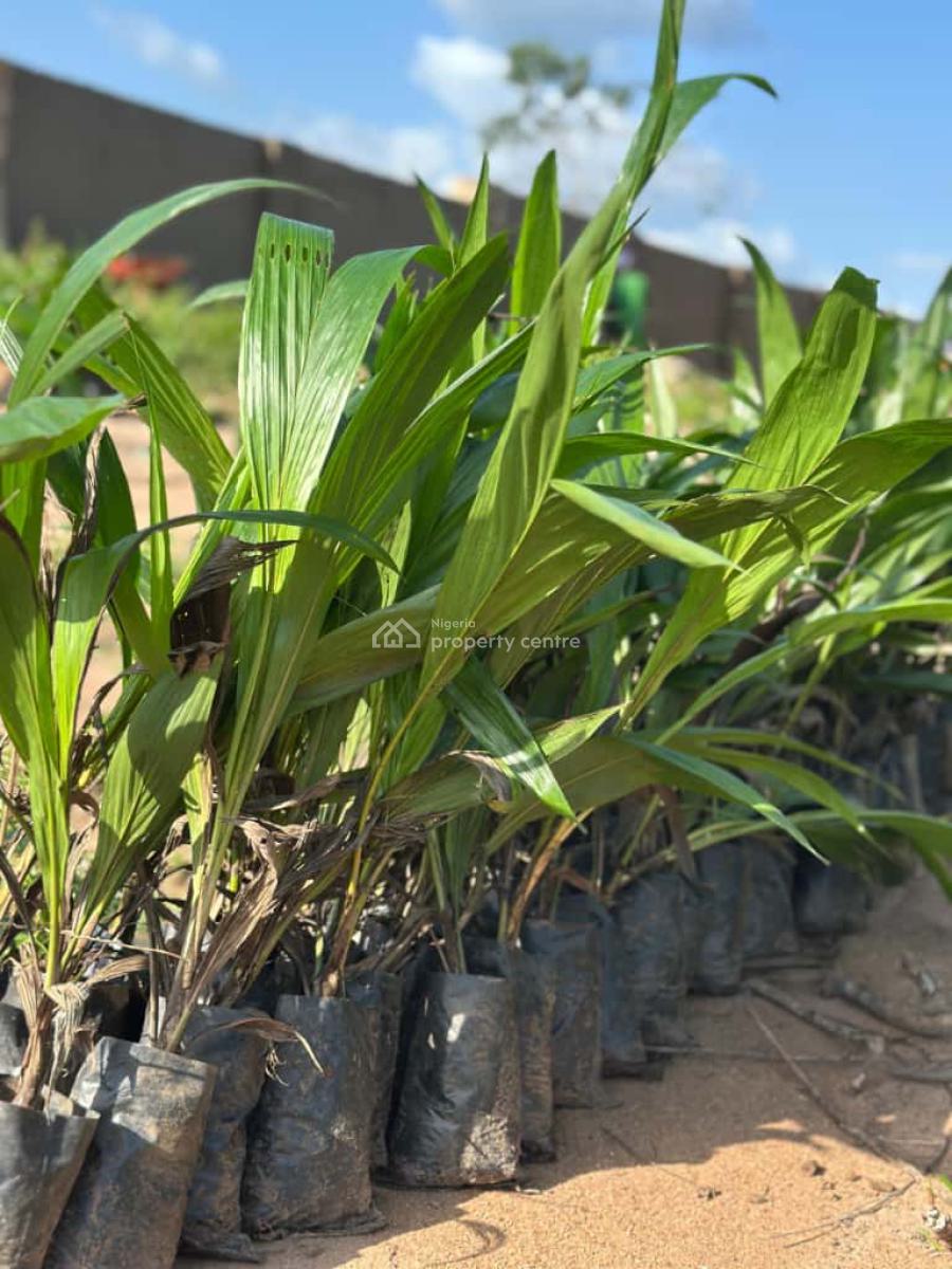 Agricultural Land, Earn 3.5-10m Yearly Through Farm Ownership at Off Funaab,alabata, Abeokuta North, Ogun, Mixed-use Land for Sale