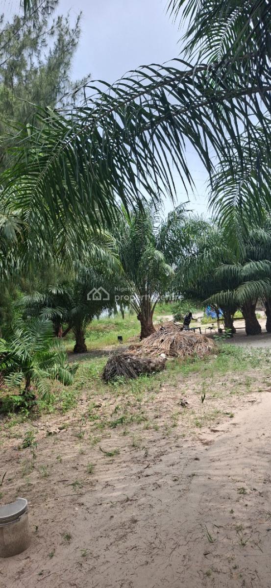 5,000 Sqm Waterfront Fourth Avenue, Banana Island, Ikoyi, Fourth Avenue, Banana Island, Ikoyi, Lagos, Banana Island, Ikoyi, Lagos, Mixed-use Land for Sale