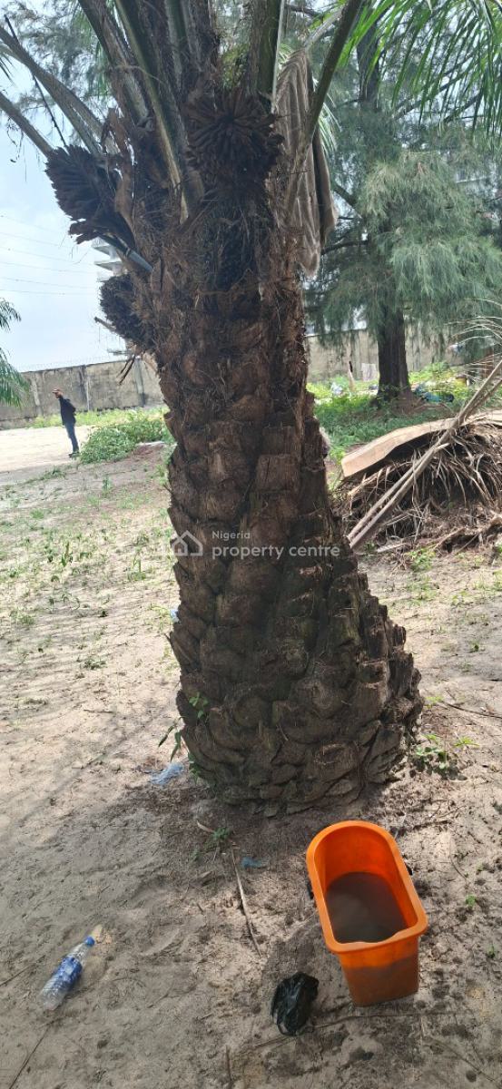 5,000 Sqm Waterfront Fourth Avenue, Banana Island, Ikoyi, Fourth Avenue, Banana Island, Ikoyi, Lagos, Banana Island, Ikoyi, Lagos, Mixed-use Land for Sale