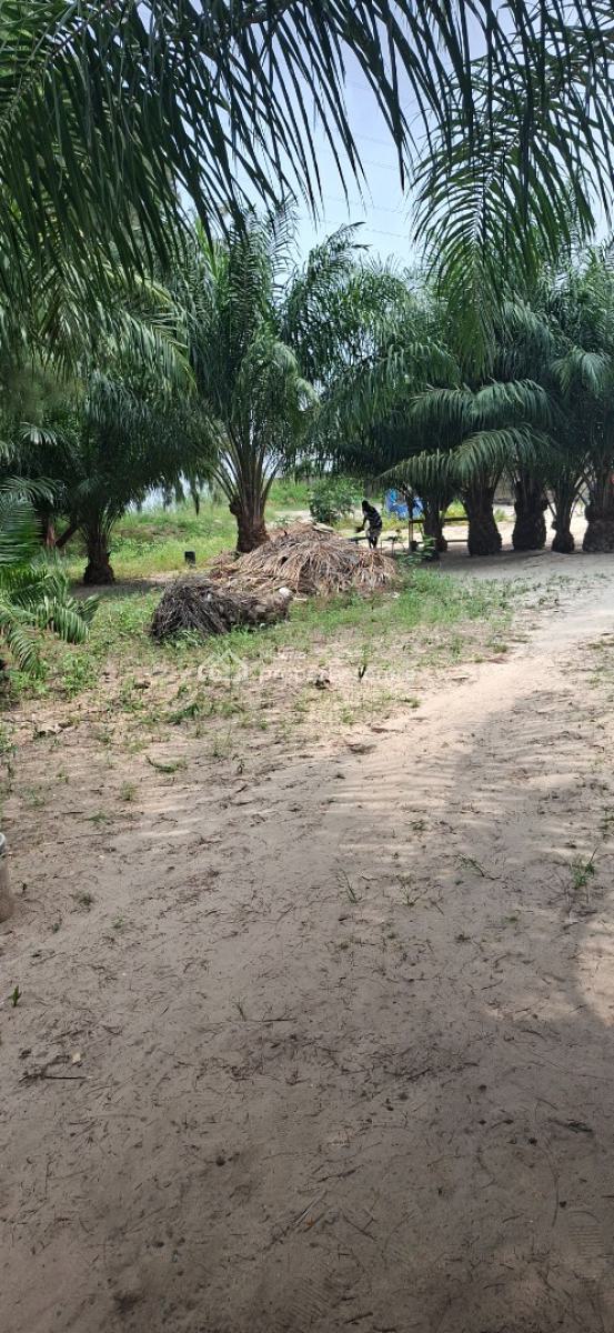 5,000 Sqm Waterfront Fourth Avenue, Banana Island, Ikoyi, Fourth Avenue, Banana Island, Ikoyi, Lagos, Banana Island, Ikoyi, Lagos, Mixed-use Land for Sale