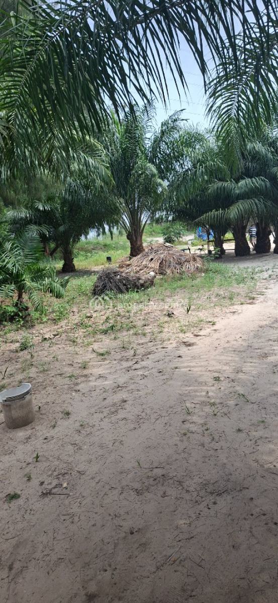 5,000 Sqm Waterfront Fourth Avenue, Banana Island, Ikoyi, Fourth Avenue, Banana Island, Ikoyi, Lagos, Banana Island, Ikoyi, Lagos, Mixed-use Land for Sale