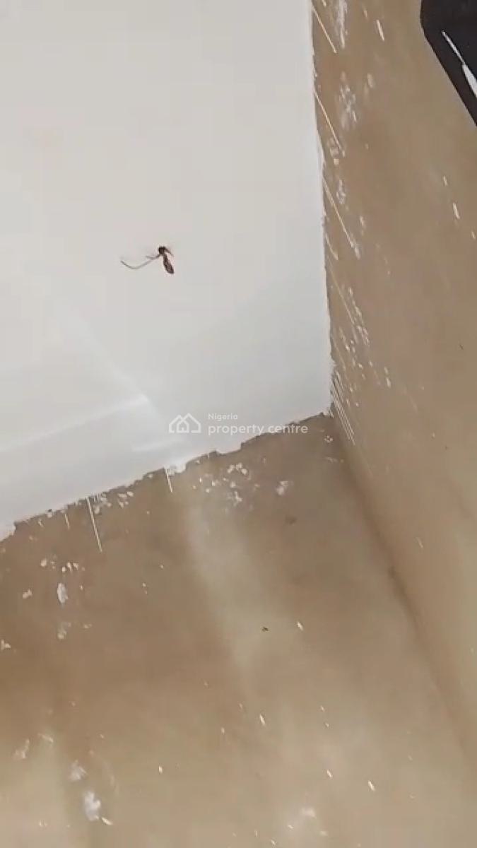 Decent and Portable Room Self Con Available at Bokku Mart @ 600k, Bokku Mart, Oworonshoki, Shomolu, Lagos, Self Contain (single Rooms) for Rent