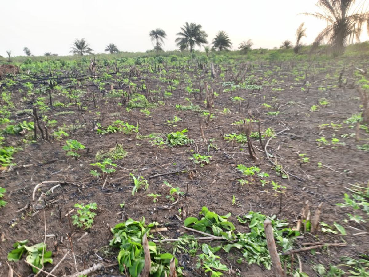 Cassava, Yam, Plantain Farmland, Isiwo, Epe, Lagos, Residential Land for Sale