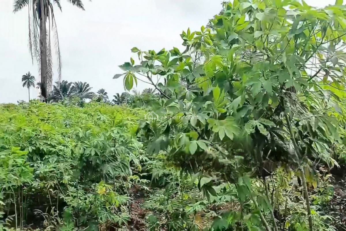 2 Plots of Land, Obirikwerre Airport Road, Port Harcourt, Rivers, Residential Land for Sale