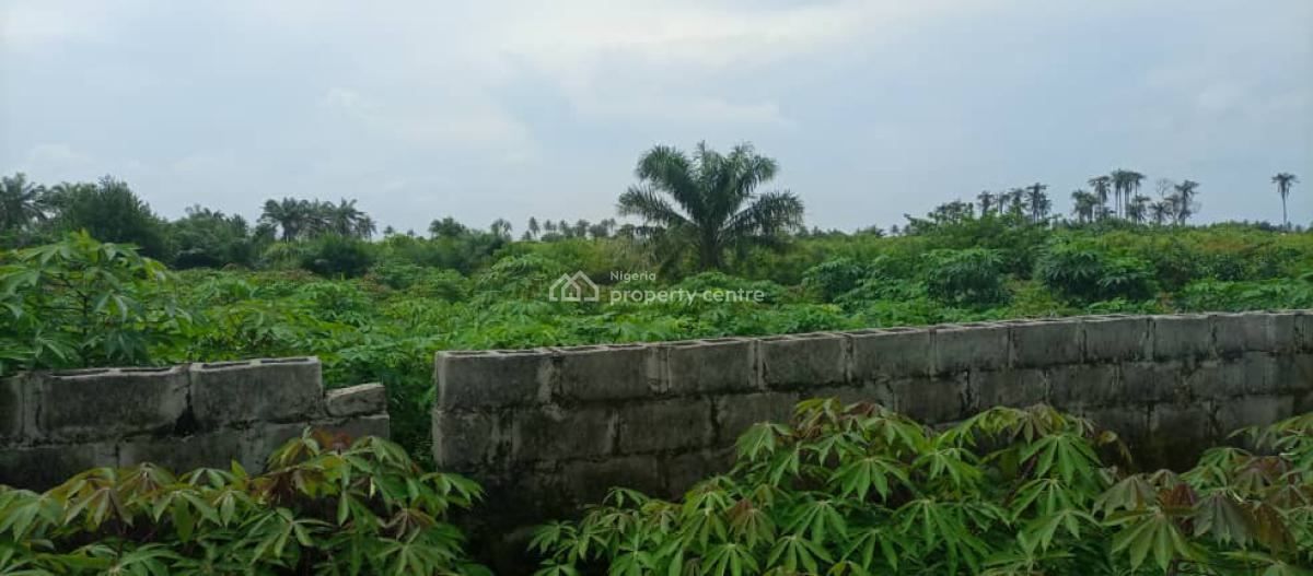 Commercial Land, Ogba, Ikeja, Lagos, Commercial Land for Sale
