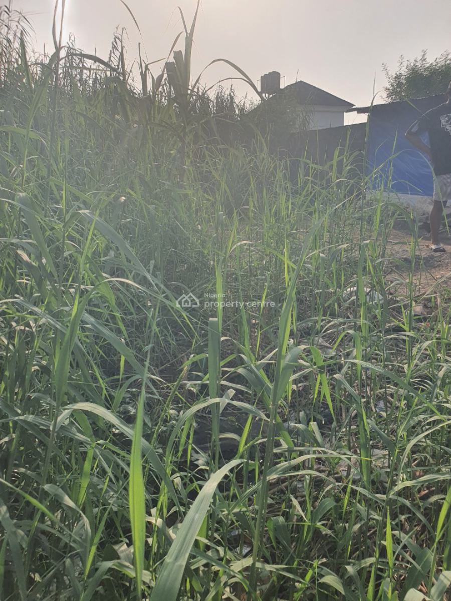 Dry Table Land in a Serene and Secured Location, Addo Road, Ado, Ajah, Lagos, Residential Land for Sale