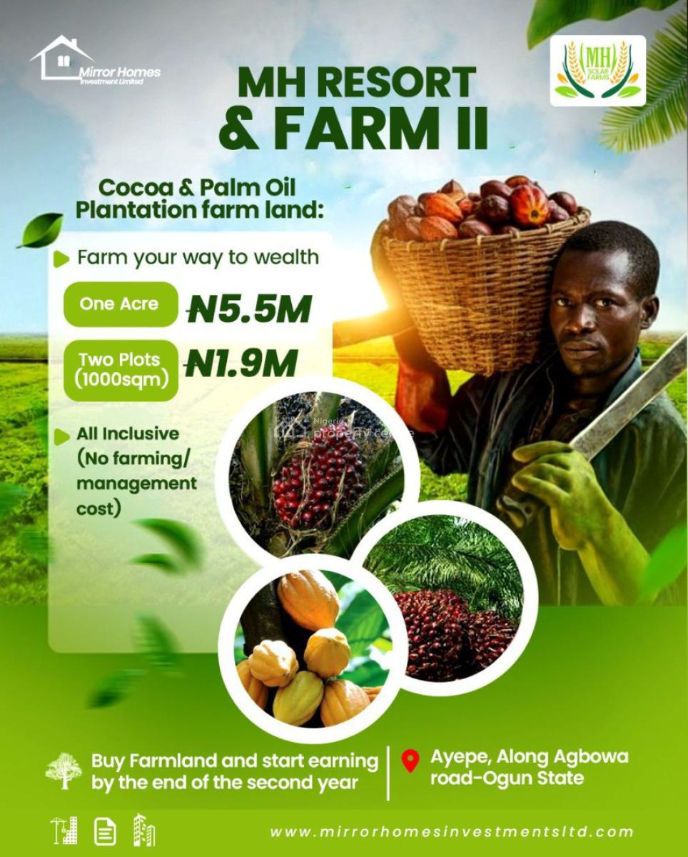 Buy to Earn Agricultural Farmland with Trusted Management, Aiyepe, Along Agbowa, Ijebu Ode, Ogun, Commercial Land for Sale