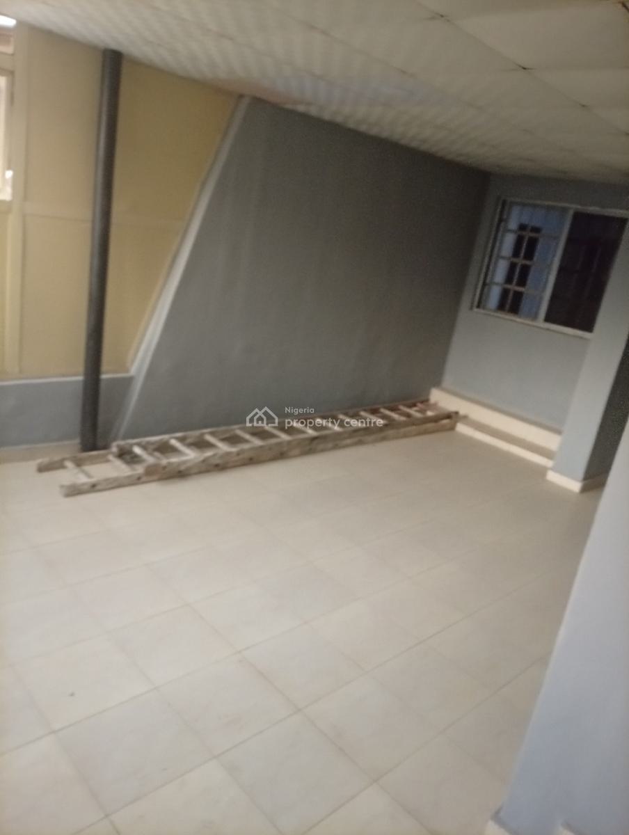 Well Renovated 9 Bedrooms Detached Duplex, Asokoro District, Abuja, Detached Duplex for Rent