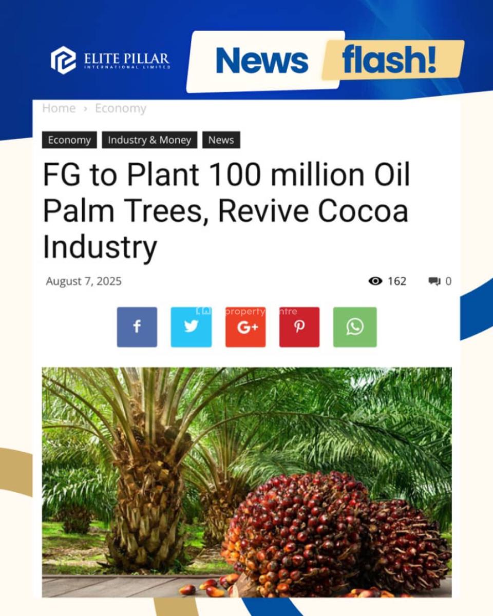 Own a Farmland and Earn Millions in Return!, Near Funaab, Alabata, Abeokuta North, Ogun, Commercial Property for Sale