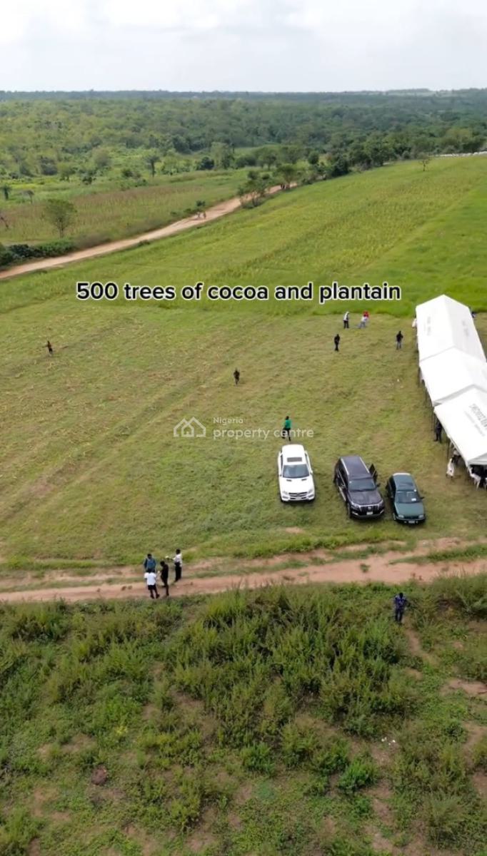 Most Affordable Farmland with Passive Income Yearly, Enjoy Huge Passive Income Yearly Through Cocoa & Plantain Farming, Abeokuta North, Ogun, Mixed-use Land for Sale
