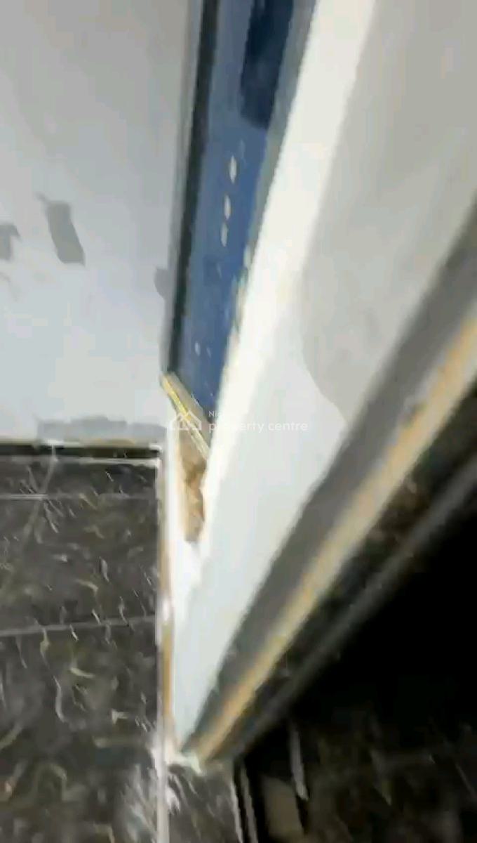 Newly Built, Spacious and Standard 2 Bedroom Flat, Off Shyllon, Ilupeju, Lagos, Flat / Apartment for Rent