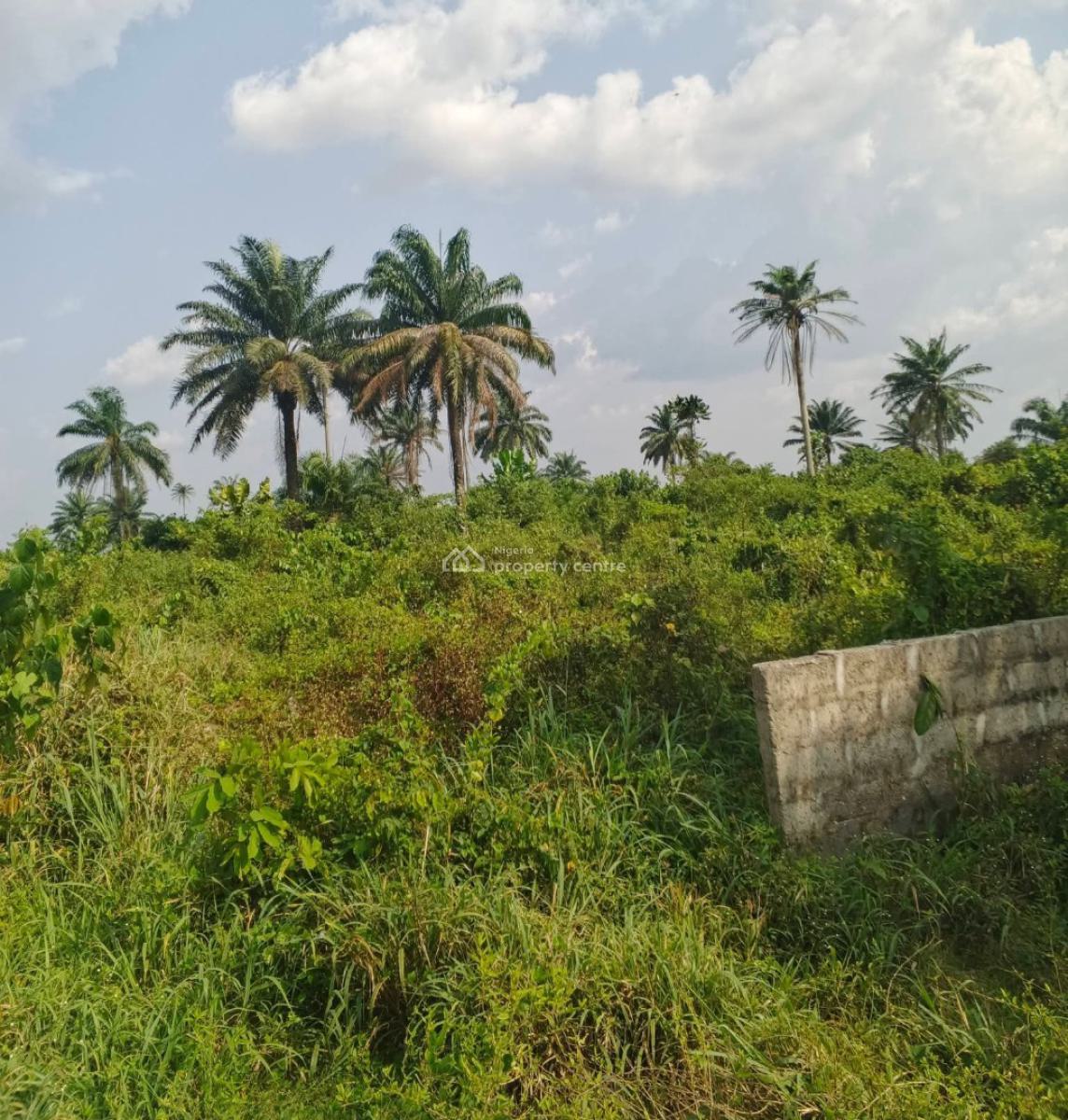 7 and Half Plots of Land, Obirikwerre Airport Road, Port Harcourt, Rivers, Mixed-use Land for Sale