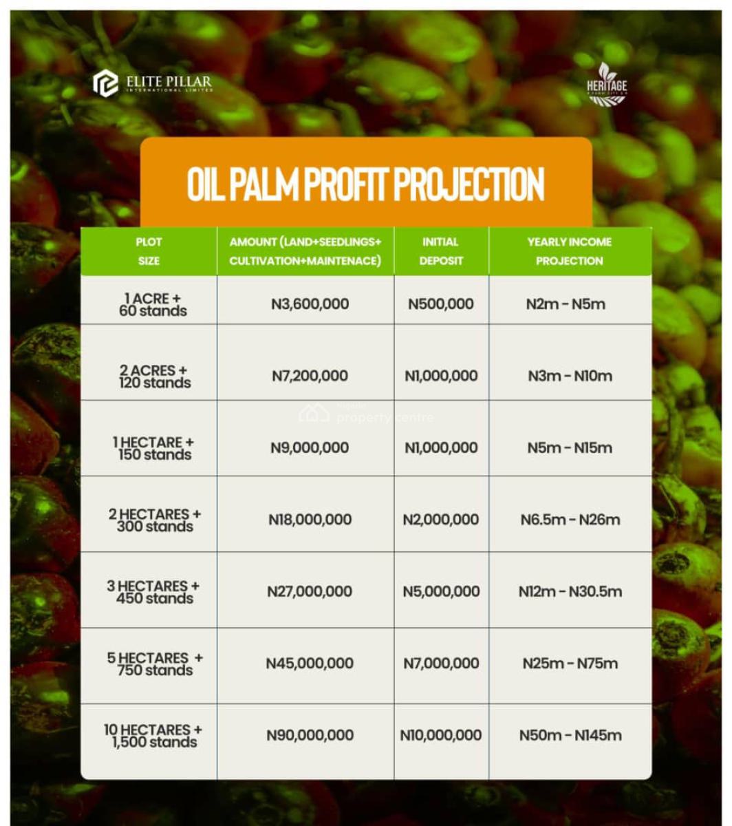 Turn Land Into Cashflow   Invest in High-yield Plantations Today, Heritage Farm City Phase 2, Odeda, Ogun, Land for Sale