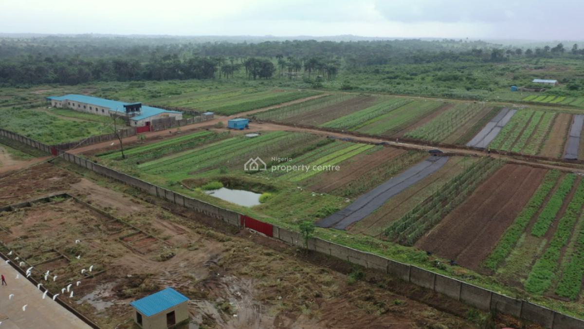 Poultry Farm (42,000 Layer per House, Ijebu East, Ogun, Commercial Property for Sale