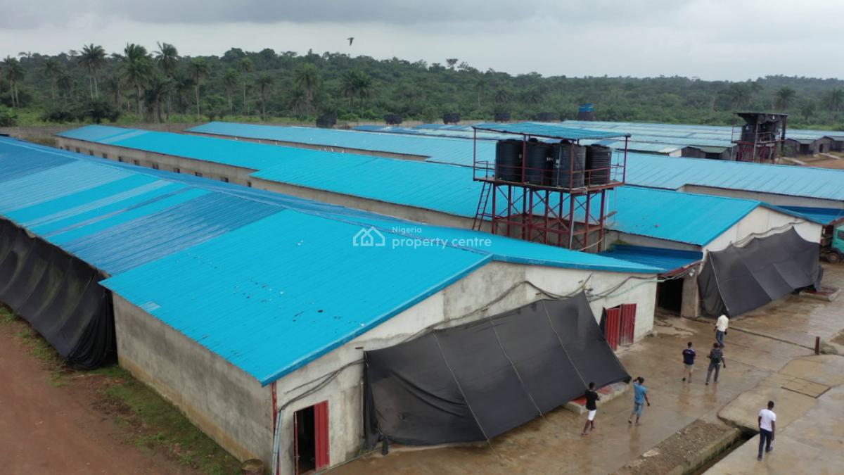 Poultry Farm (42,000 Layer per House, Ijebu East, Ogun, Commercial Property for Sale