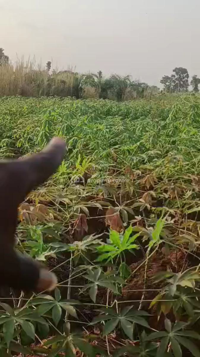 Plot of Land, Isuaniocha Awka North Lga of Anambra State, Amawbia, Awka, Anambra, Mixed-use Land for Sale