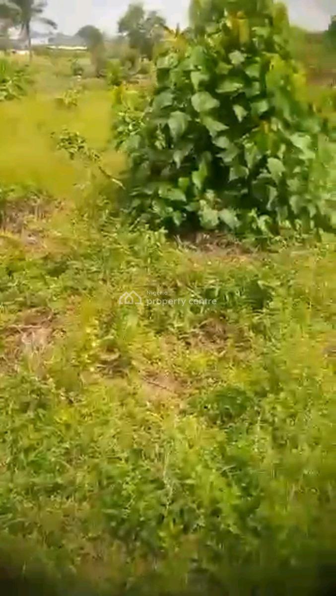 a 2plots of Dry Land with 4earthly Fish Ponds and 500piece of Block, Gberigbe, Gberigbe, Ikorodu, Lagos, Mixed-use Land for Sale