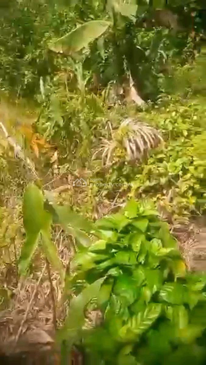 a 2plots of Dry Land with 4earthly Fish Ponds and 500piece of Block, Gberigbe, Gberigbe, Ikorodu, Lagos, Mixed-use Land for Sale