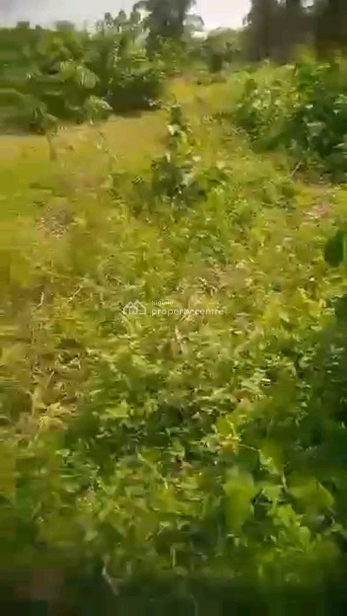 a 2plots of Dry Land with 4earthly Fish Ponds and 500piece of Block, Gberigbe, Ikorodu, Lagos, Mixed-use Land for Sale