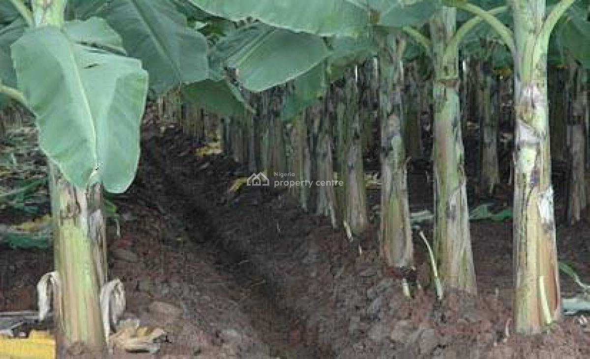 Land, Plantain Plantation with Upto 4m Annual Return After Harvest, Abeokuta South, Ogun, Commercial Land for Sale