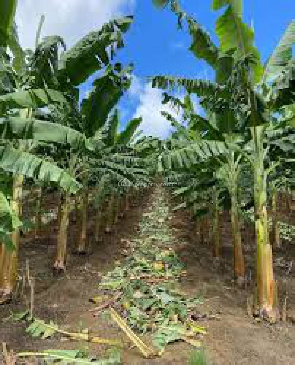 Land, Plantain Plantation with Upto 4m Annual Return After Harvest, Abeokuta South, Ogun, Commercial Land for Sale
