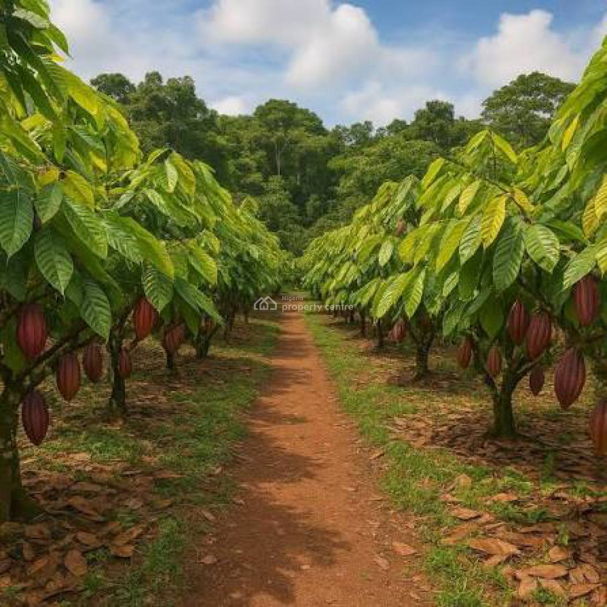 Land -farm, Farm Land Focused in Cocoa Plantation,give Upto 9m Annually, Ado-odo/ota, Ogun, Commercial Land for Sale