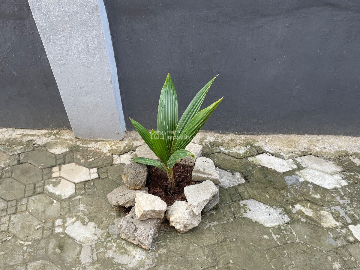 a Block of 8 Units of Two Bedroom Apartments, 7 Wuraola Adebola Close, Royal Palmwill Estate , Remlek Bus Stop,, Badore, Ajah, Lagos, Block of Flats for Sale