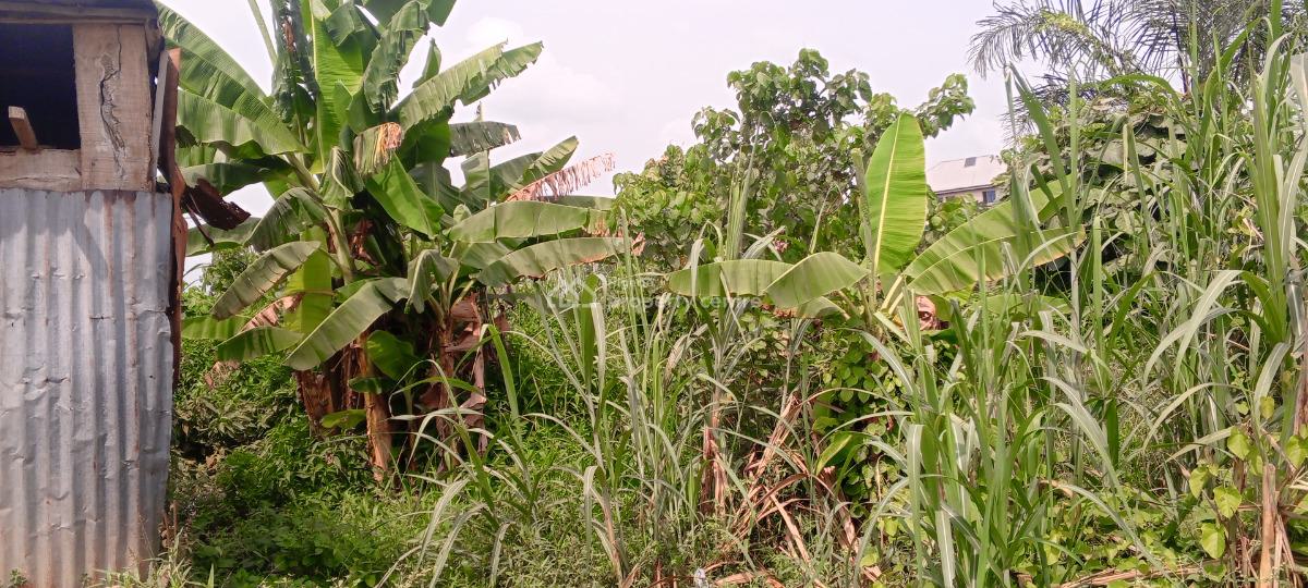 Quarter Plot of Land in a Developed Area, Short Drive From Arepo/magboro, Asese, Ibafo, Ogun, Residential Land for Sale