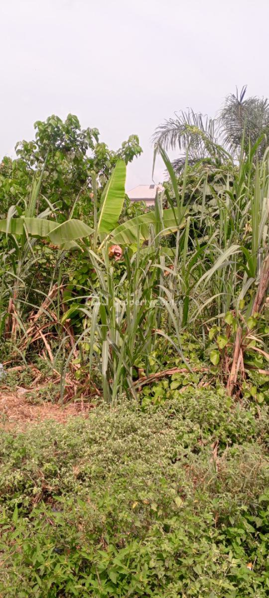 Quarter Plot of Land in a Developed Area, Short Drive From Arepo/magboro, Asese, Ibafo, Ogun, Residential Land for Sale