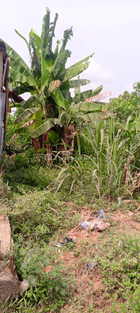 Quarter Plot of Land in a Developed Area, Short Drive From Arepo/magboro, Asese, Ibafo, Ogun, Residential Land for Sale