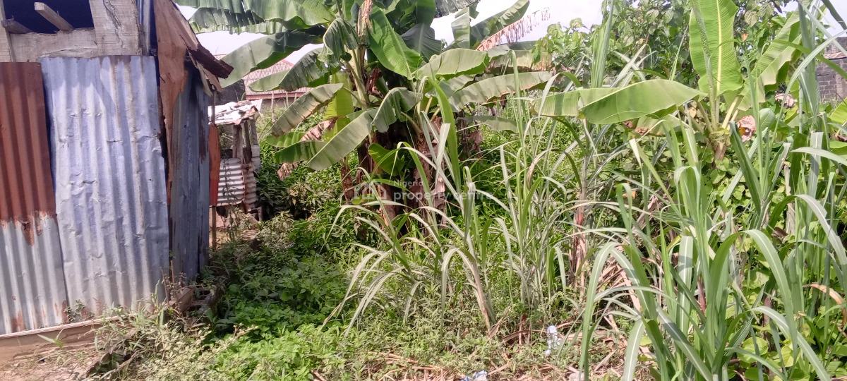 Quarter Plot of Land in a Developed Area, Short Drive From Arepo/magboro, Asese, Ibafo, Ogun, Residential Land for Sale