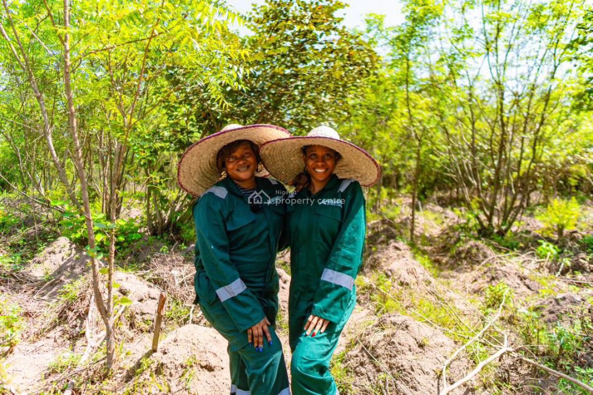 Most Affordable Farm Land in a Good Location, Odera Local Government, Abeokuta South, Ogun, Mixed-use Land for Sale