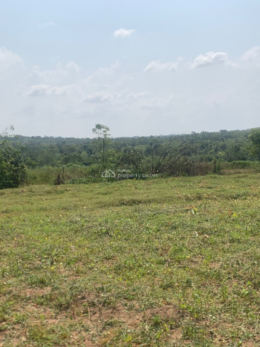 Invest in Nigerias Big Farm Opportunity Which Generational Wealth, Nestled in Ofuape Village After Rounder Junction, Along Igbo Ora Road., Abeokuta North, Ogun, Industrial Land for Sale